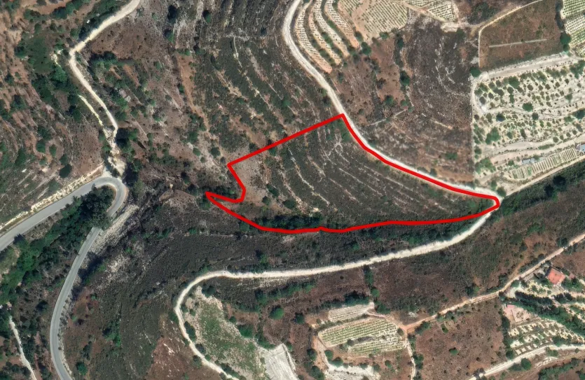 Plot - 13554, photo 3