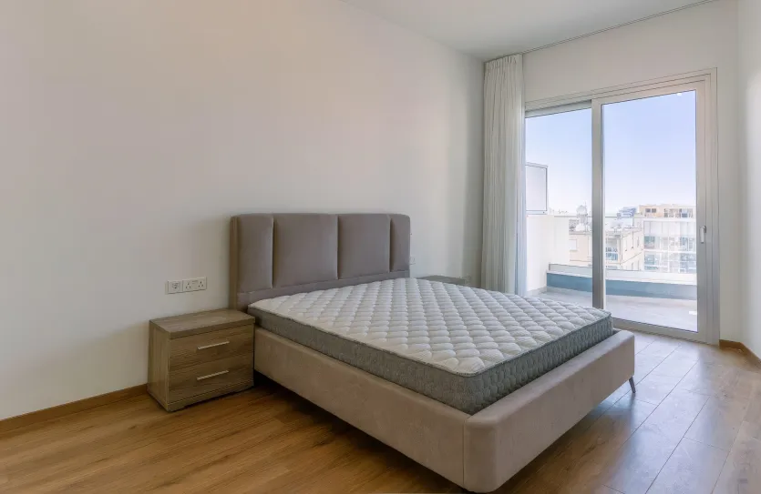 4 bedroom penthouse - 14298, photo 4