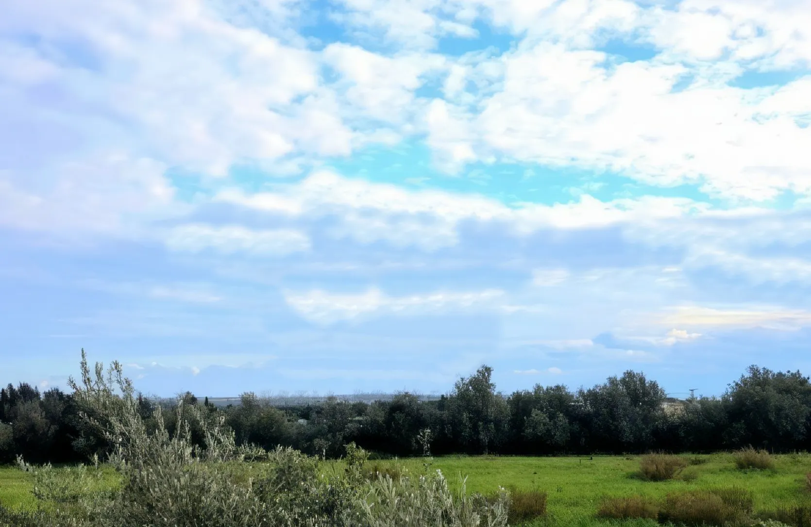 Plot for sale - 14203