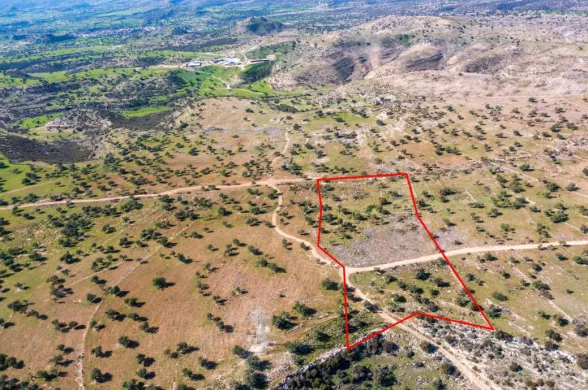 Land in Prastio Avdimou, Limassol - 13579