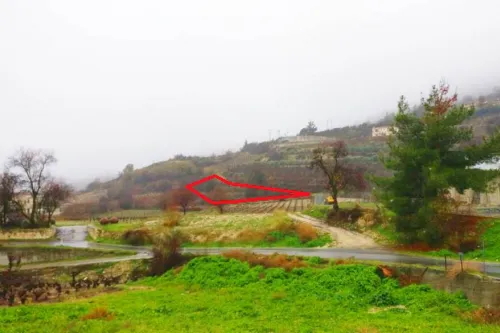 Land in Omodos, Limassol - 14354