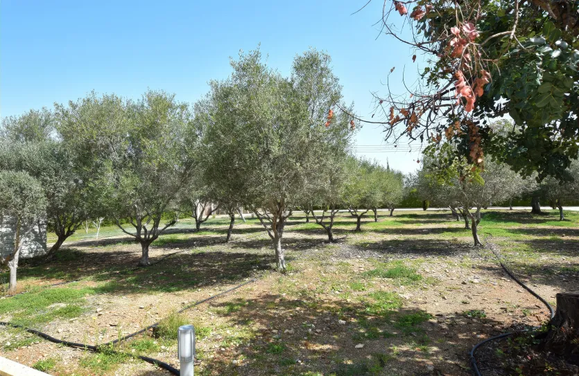 Дом с 5-ю спальнями - 14292, photo 20