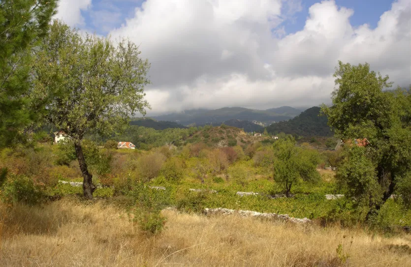 Участок для жилой застройки - 14500, photo 4