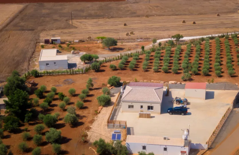 3 bedroom house - 14538, photo 12