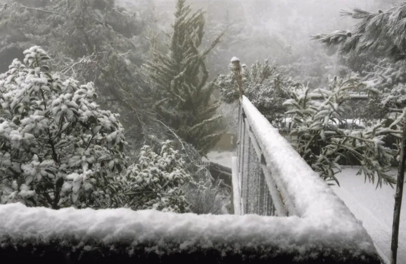 3 bedroom house - 14590, photo 7