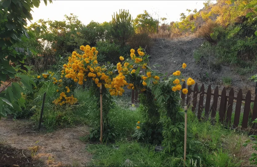 3 bedroom house - 14590, photo 11