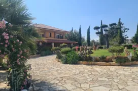 6 bedroom villa in Souni–Zanakia, Limassol - 14661