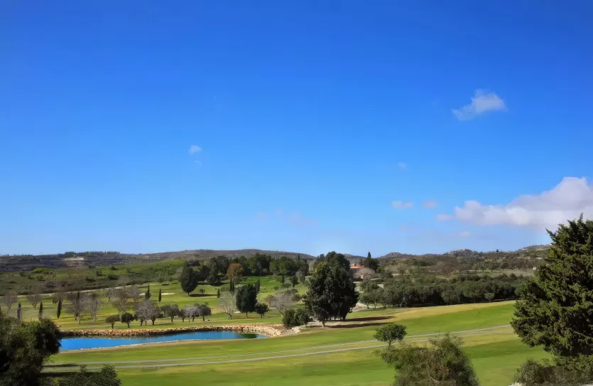 3 bedroom villa - 14438, photo 8