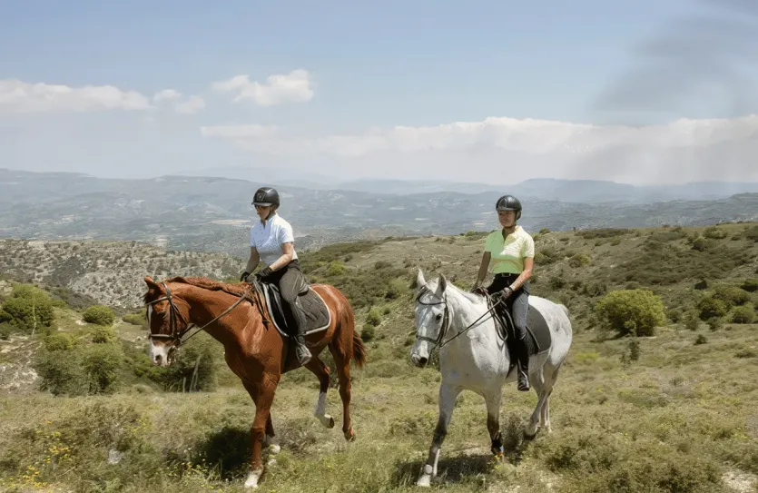 3 bedroom villa - 14438, photo 7