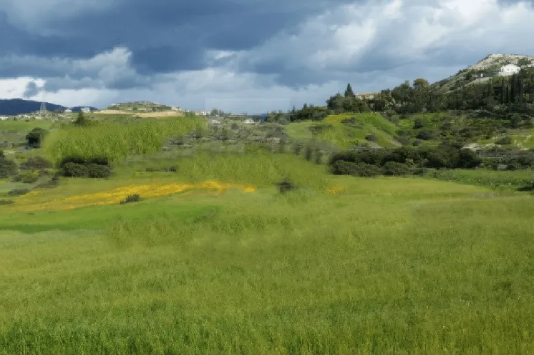 Участок в Агиос Тихонас, Лимассол