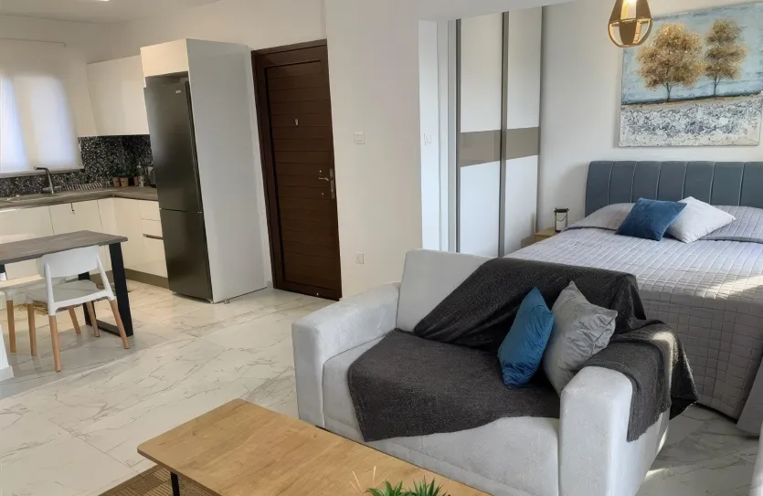 1 bedroom apartment - 13438, photo 9