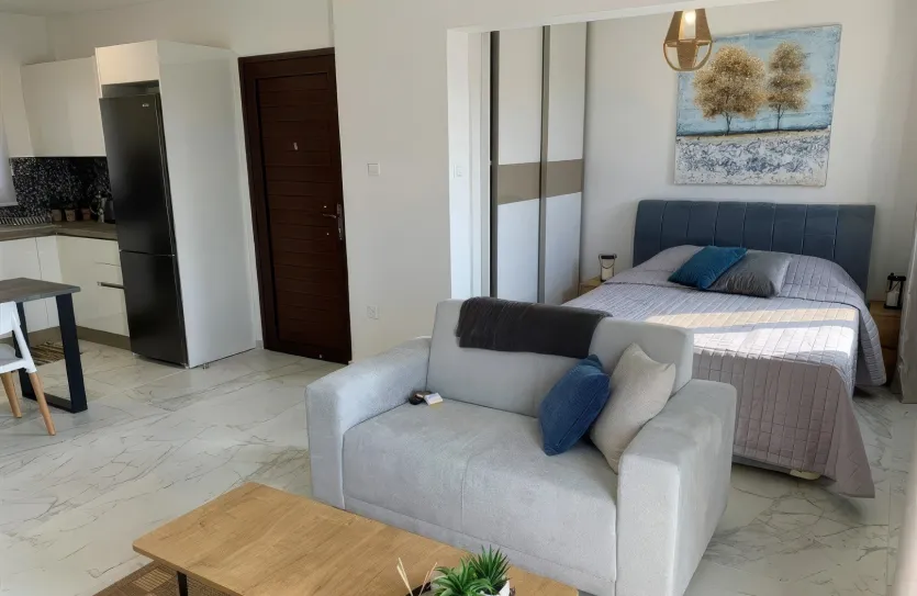 1 bedroom apartment - 13438, photo 6