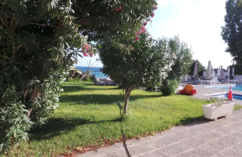 3 bedroom apartment - 13066, photo 27