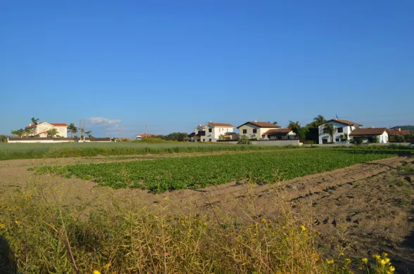 Residential plot in Moni, Limassol - 14848