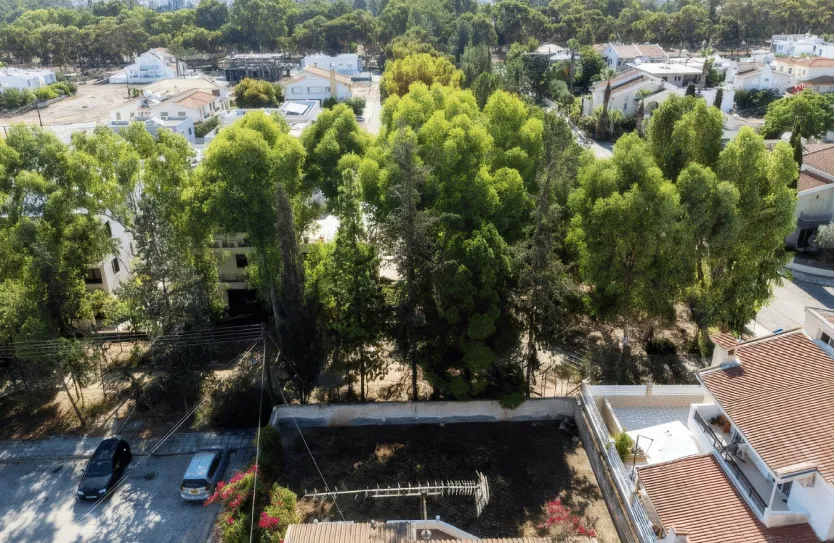 Traditional house - 14881, photo 9