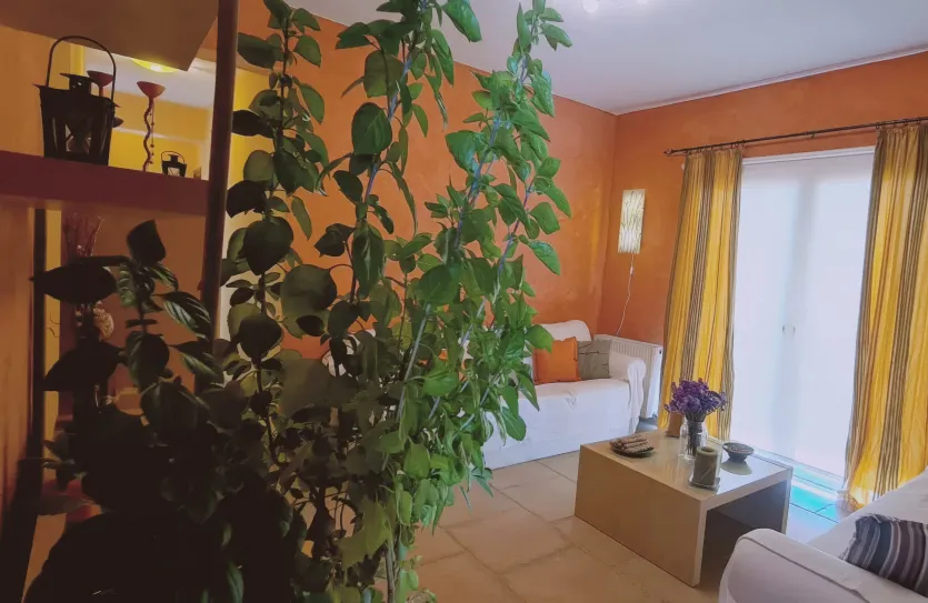 3 bedroom apartment - 14916, photo 14