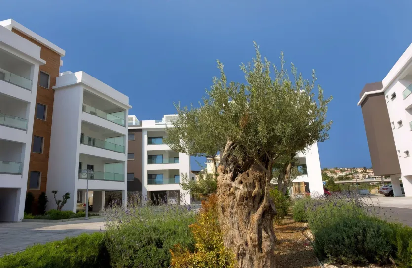 4 bedroom penthouse - 15118, photo 30