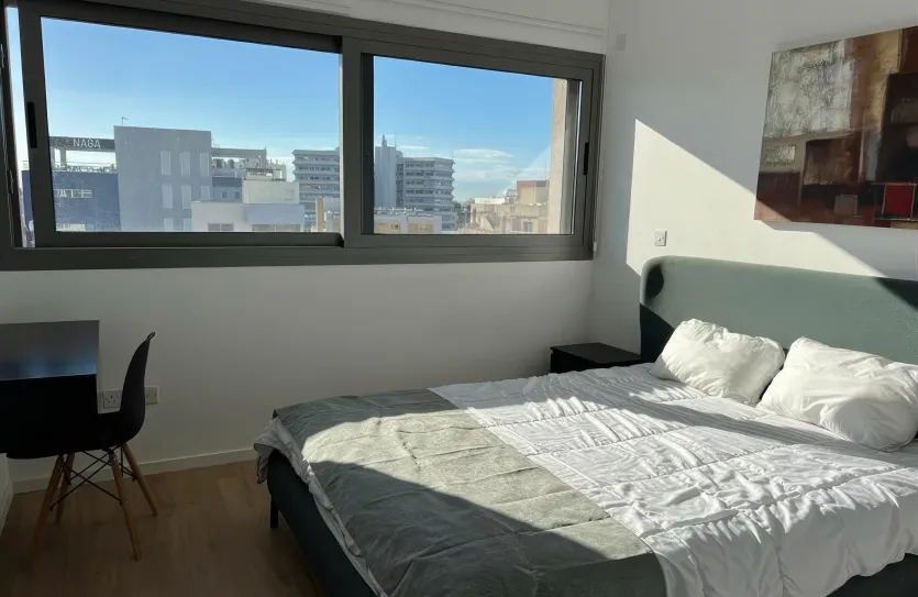 2 bedroom apartment - 15182, photo 5