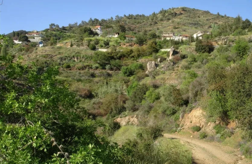 Участок - 15222, photo 4