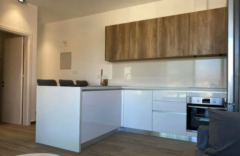 1 bedroom apartment for rent - 15231