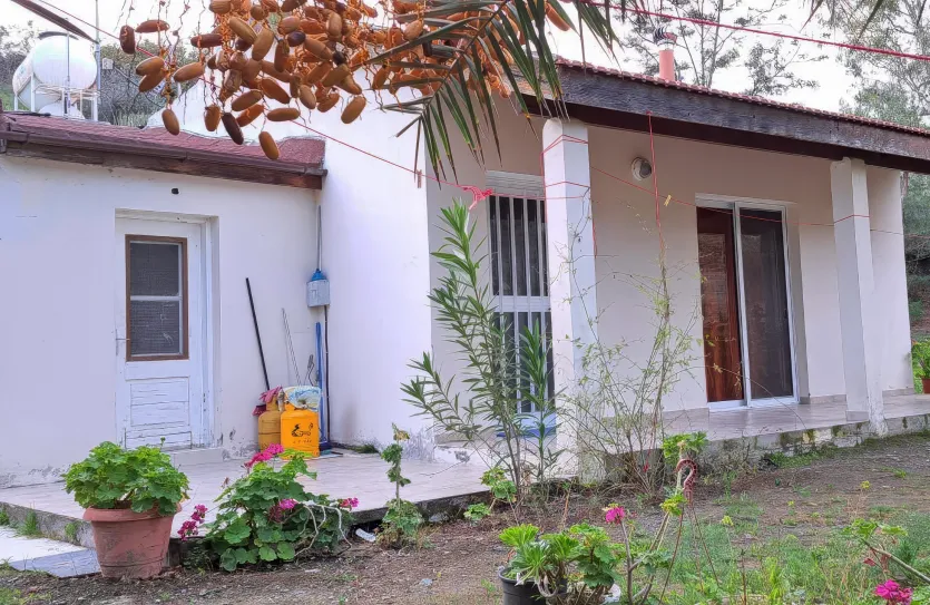 1 bedroom house - 15417, photo 4