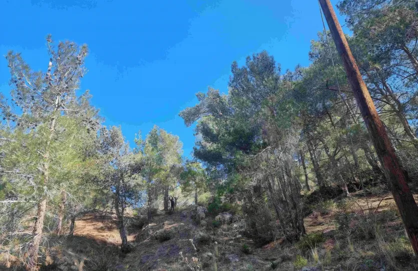 Residential plot for sale - 15420
