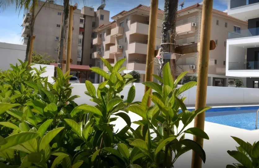 4 bedroom penthouse - 15422, photo 12