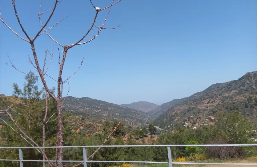 Дом с 3-мя спальнями - 15431, photo 18