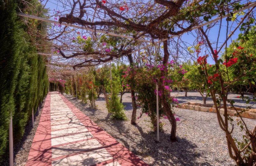 3 bedroom villa - 15433, photo 10