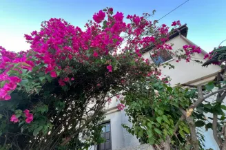 House in Spitali, Limassol - 15535