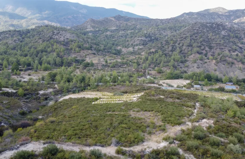 Земельный участок - 15988, photo 8