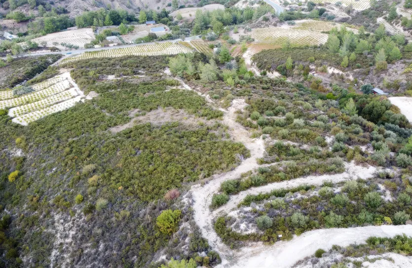 Земельный участок - 15988, photo 7