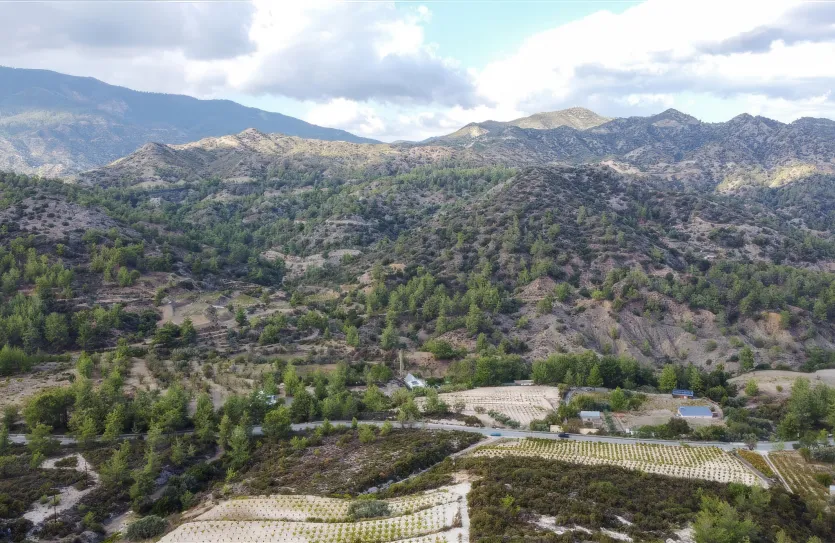 Земельный участок - 15988, photo 6