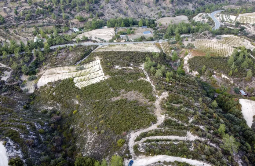 Земельный участок - 15988, photo 5