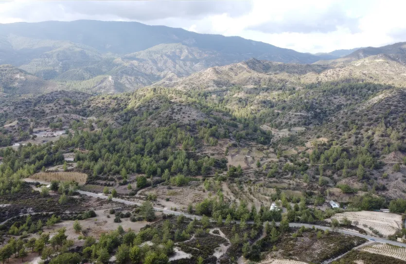 Земельный участок - 15988, photo 16