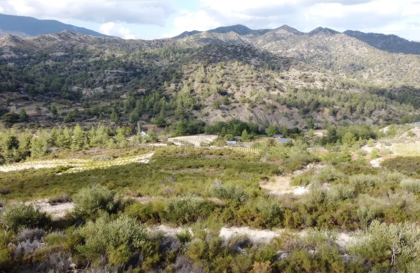 Земельный участок - 15988, photo 14