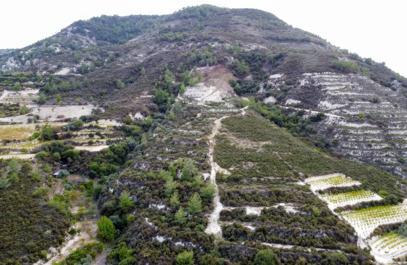 Земельный участок - 15988, photo 13