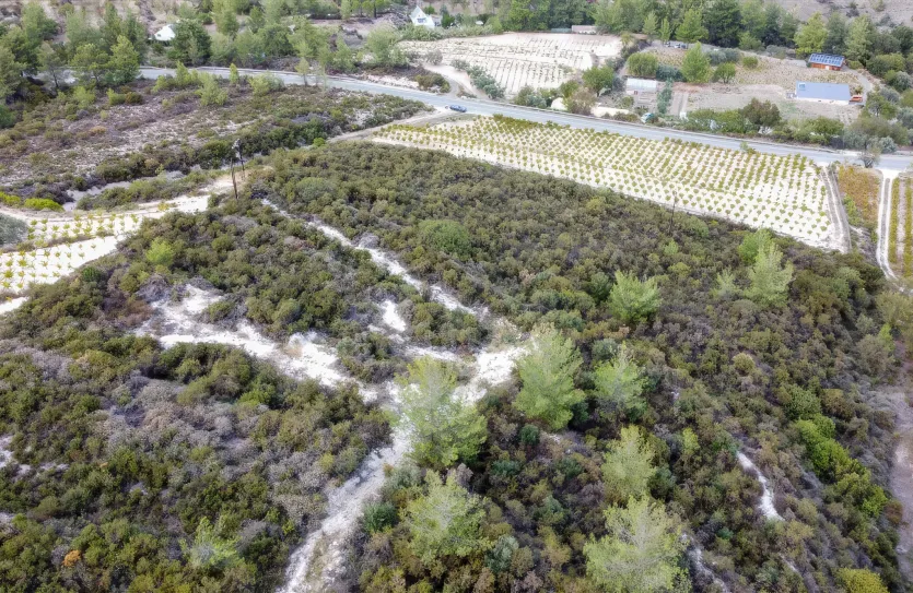 Земельный участок - 15988, photo 12