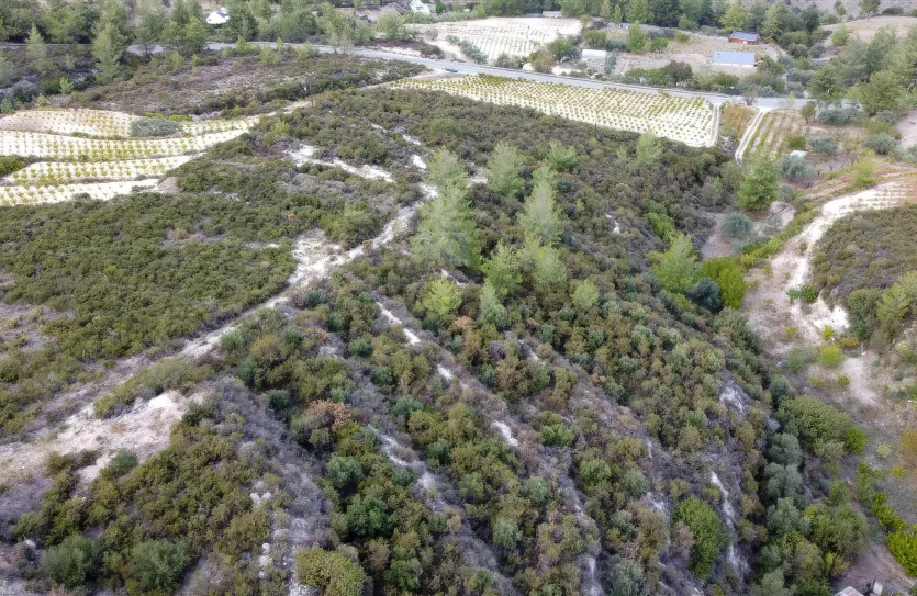 Земельный участок - 15988, photo 11