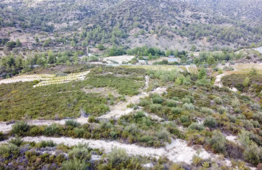 Земельный участок - 15988, photo 10