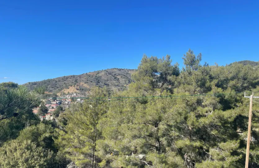 Дом с 4-мя спальнями - 16302, photo 14