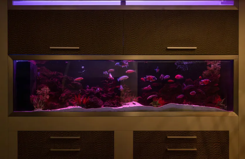 Дом с 6-ю спальнями - 16359, photo 21