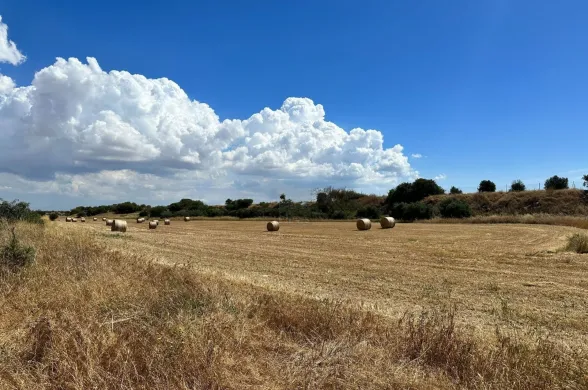 Land in Avgorou, Famagusta - 16415