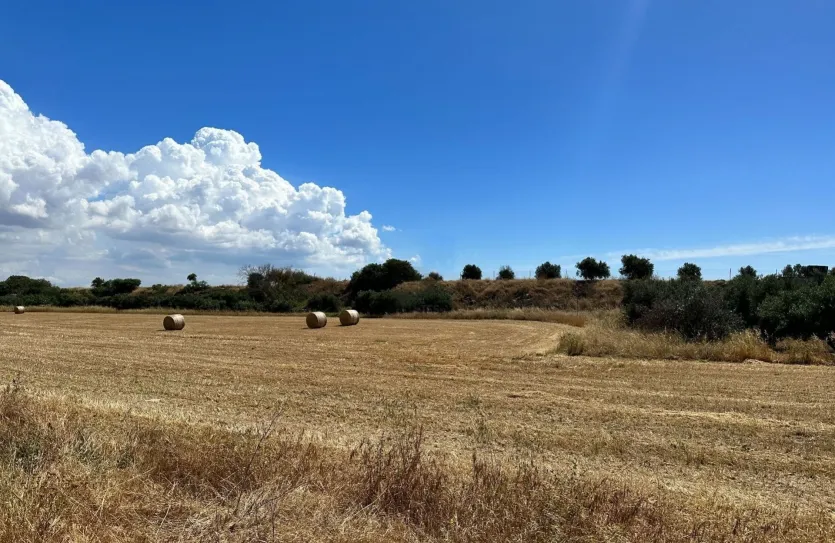 Land - 16415, photo 2