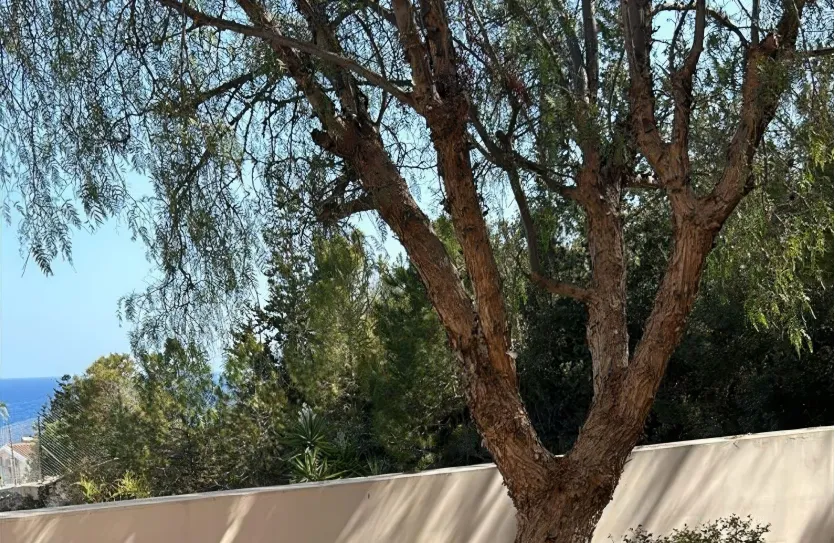 2 bedroom apartment - 16417, photo 6