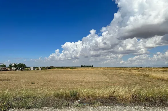 Land in Avgorou, Famagusta - 16429