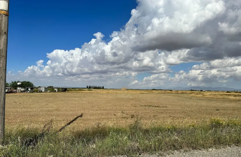 Land - 16429, photo 3