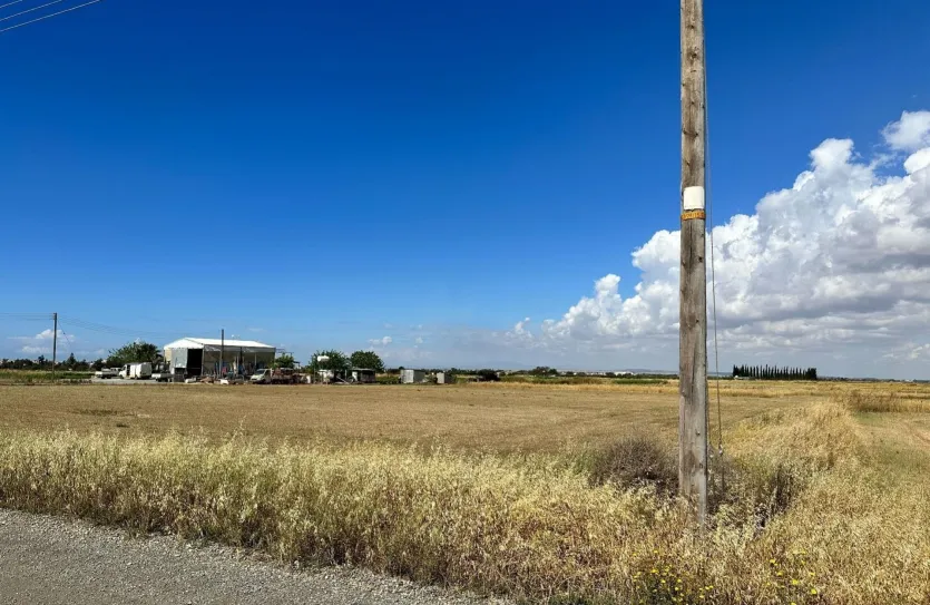 Land - 16429, photo 2