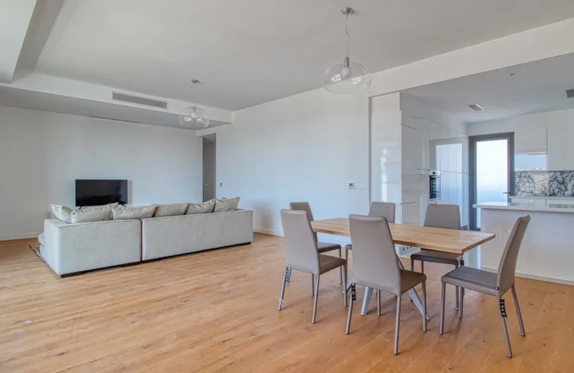 4 bedroom penthouse - 16578, photo 3