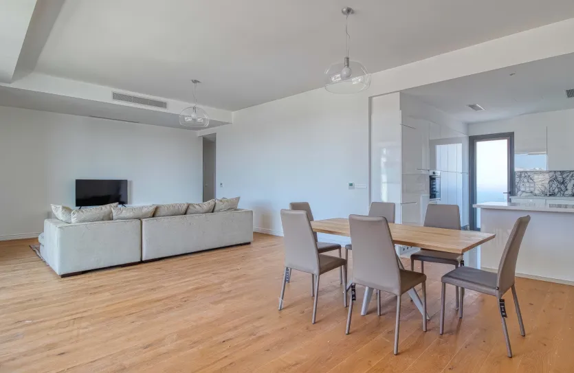 4 bedroom penthouse - 16578, photo 3